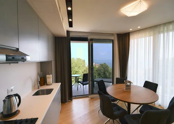 In Ziza, Rooftop Swimming Pool Opatija