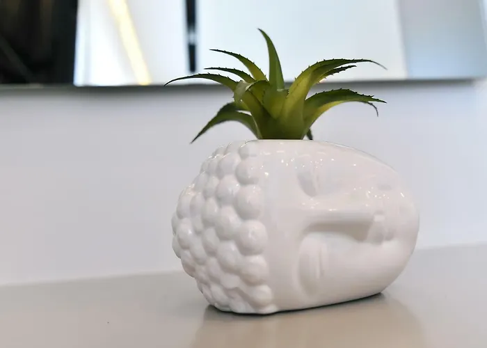 In Ziza, Rooftop Swimming Pool דירה אופטיה