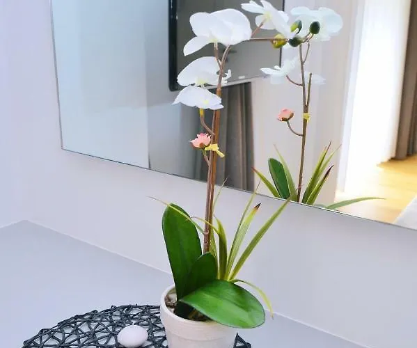 In Ziza, Rooftop Swimming Pool אופטיה