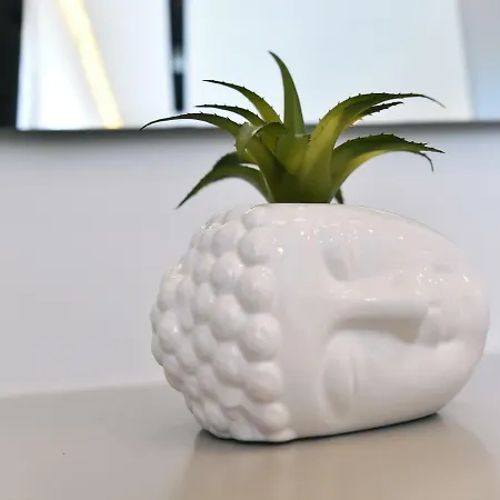 In Ziza, Rooftop Swimming Pool 公寓 奥帕提亚