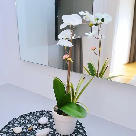 In Ziza, Rooftop Swimming Pool 奥帕提亚